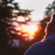 Sonnenuntergang im Wald